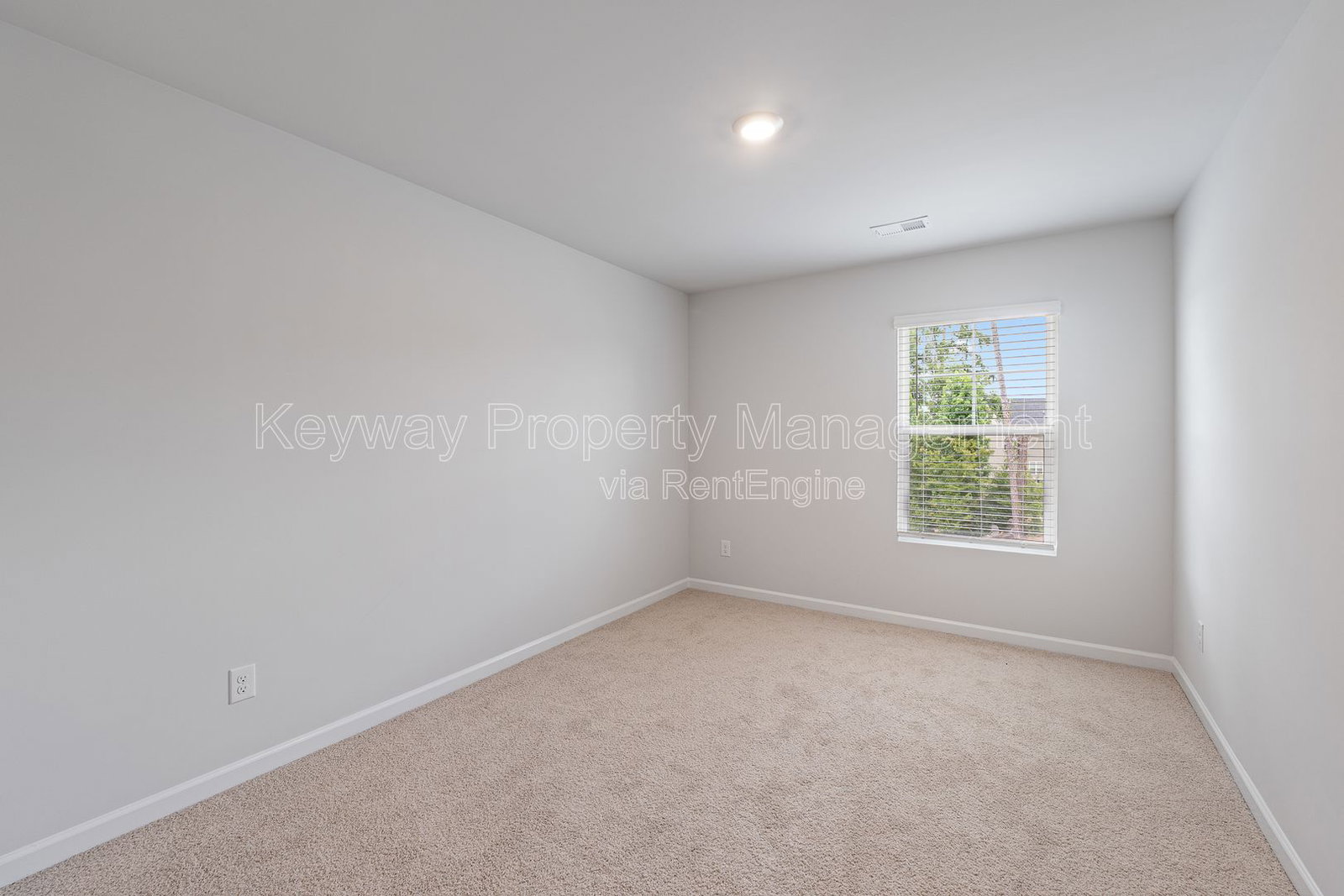 Gallery Image 20