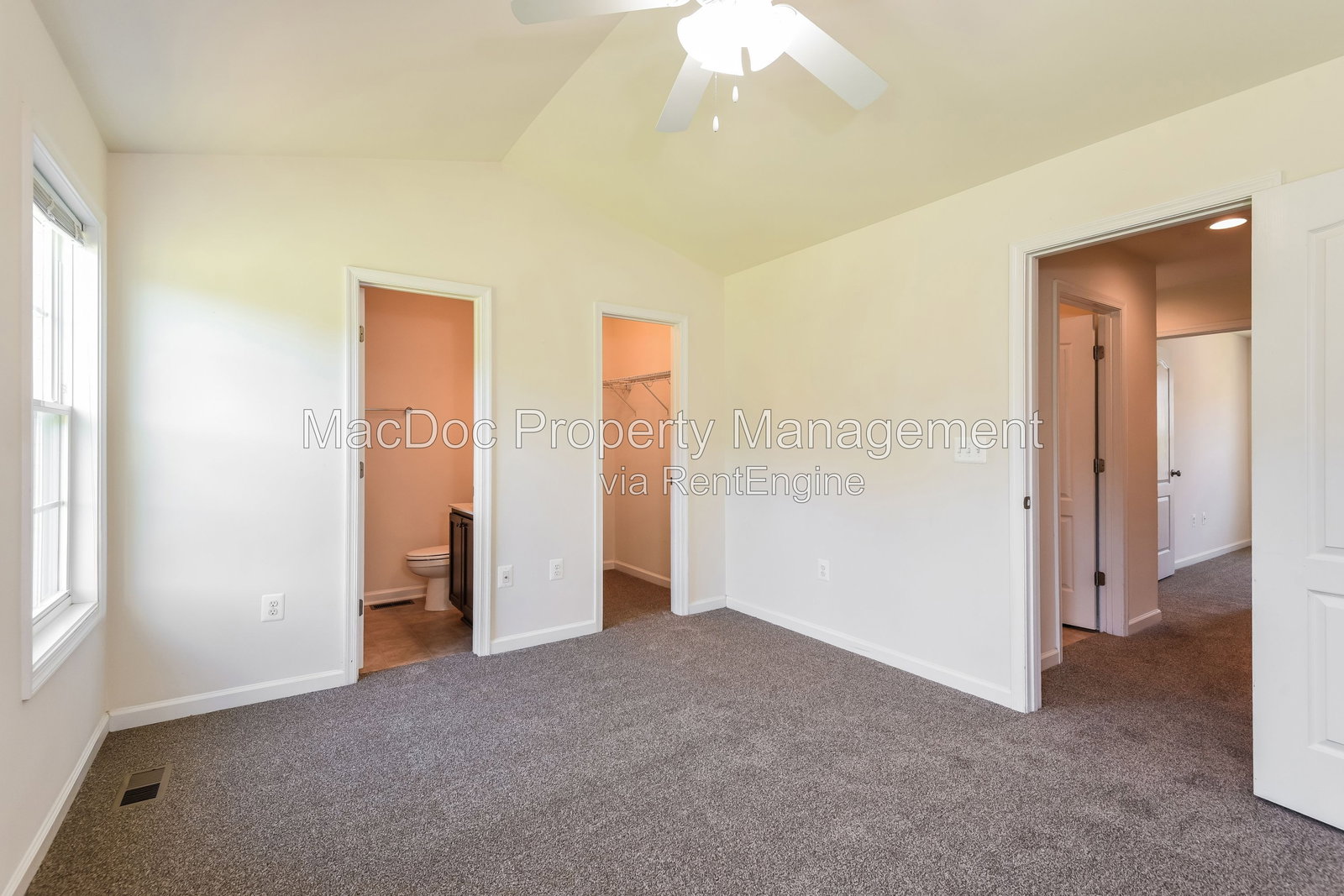 Gallery Image 19