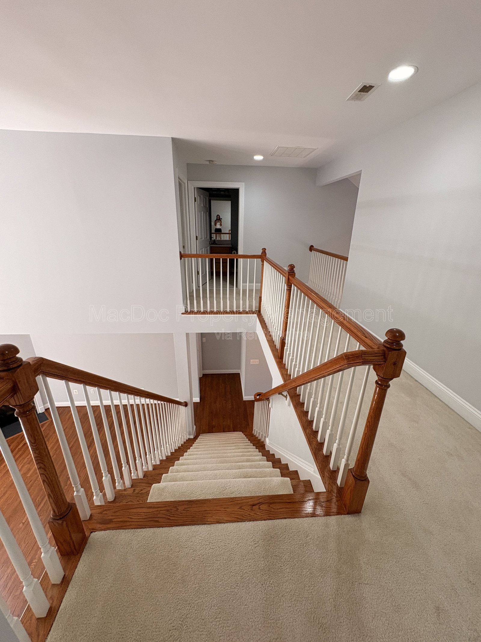 Gallery Image 19