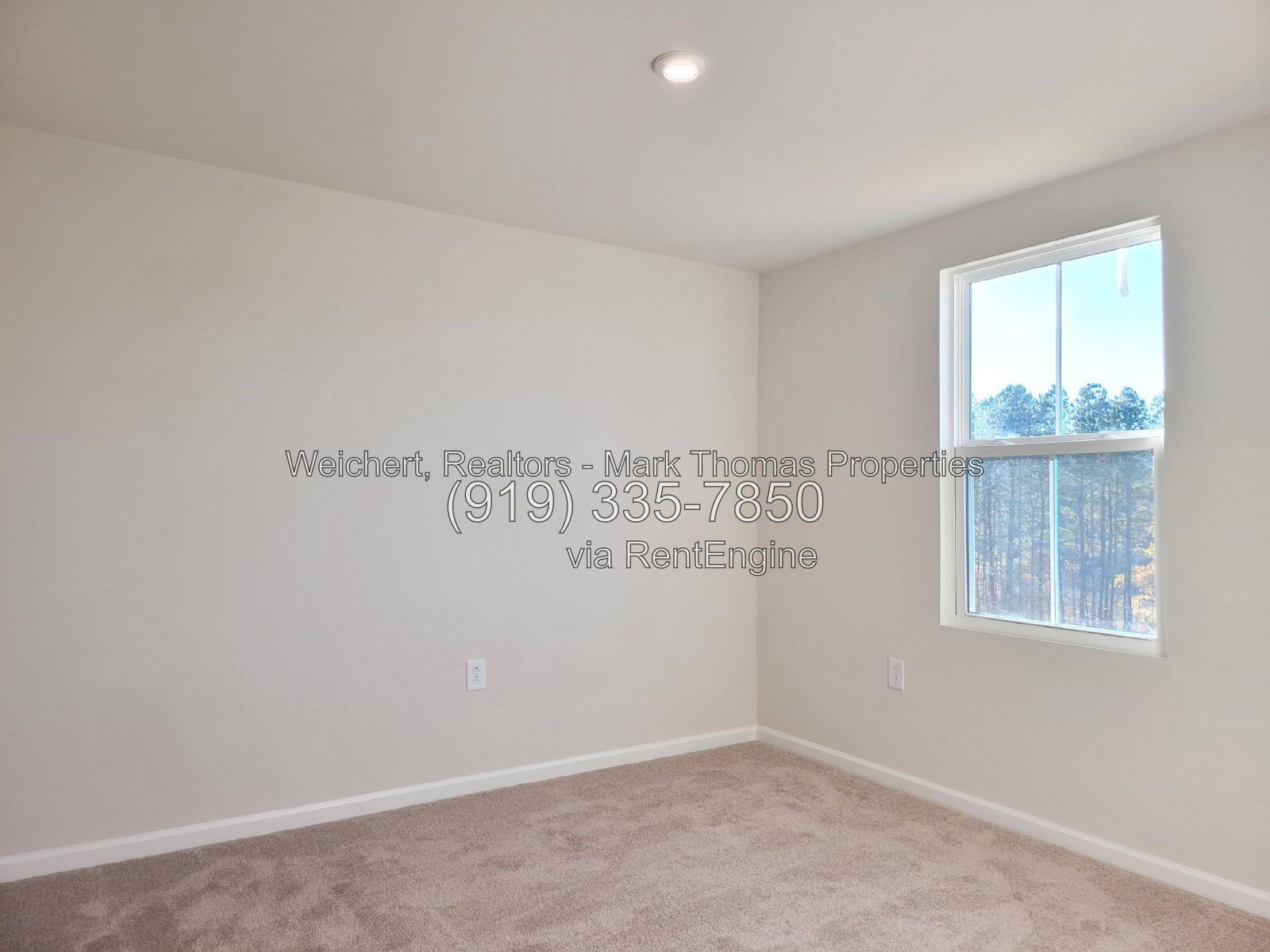 Gallery Image 25