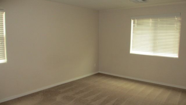 Gallery Image 19