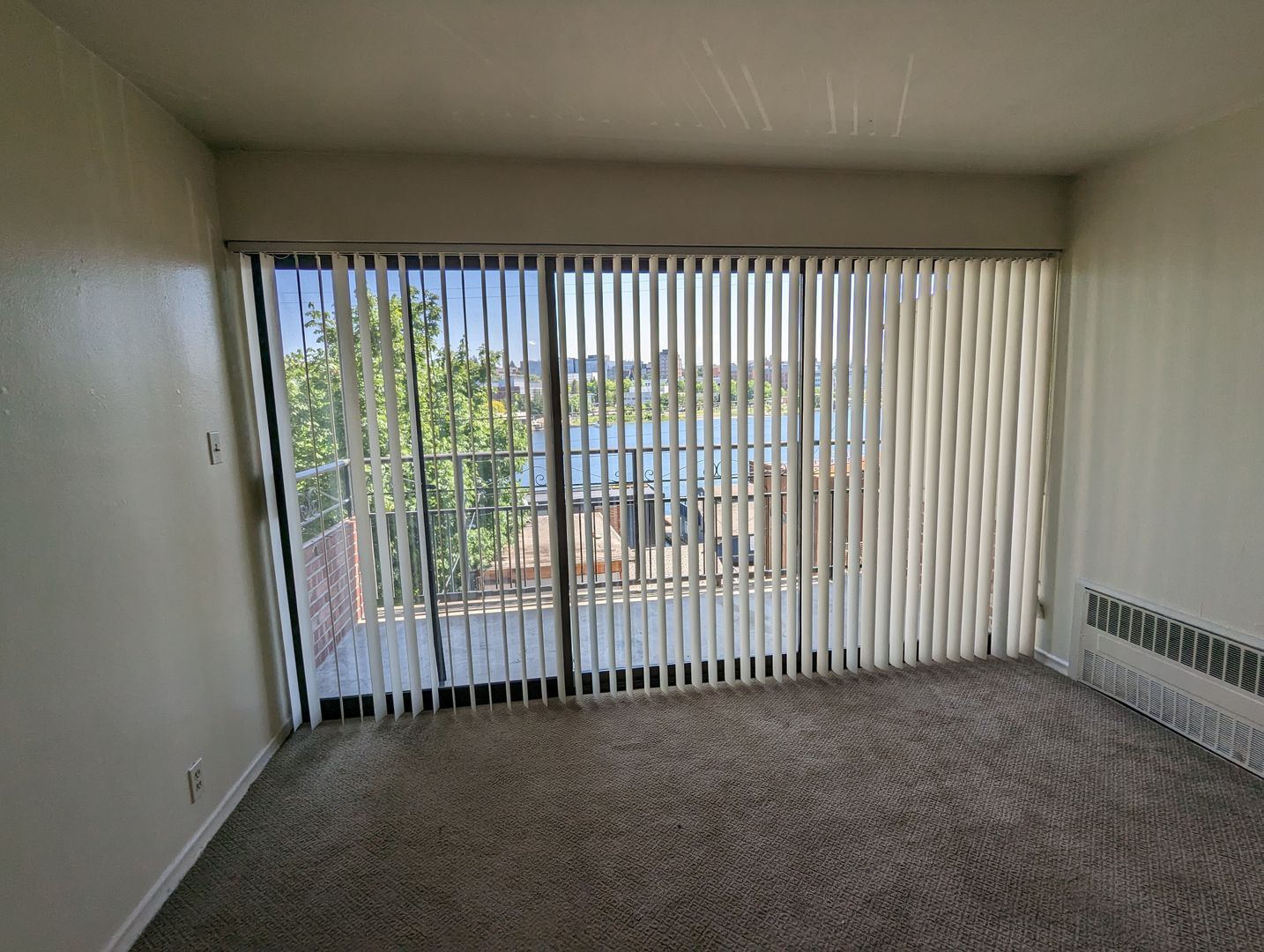 Gallery Image 0
