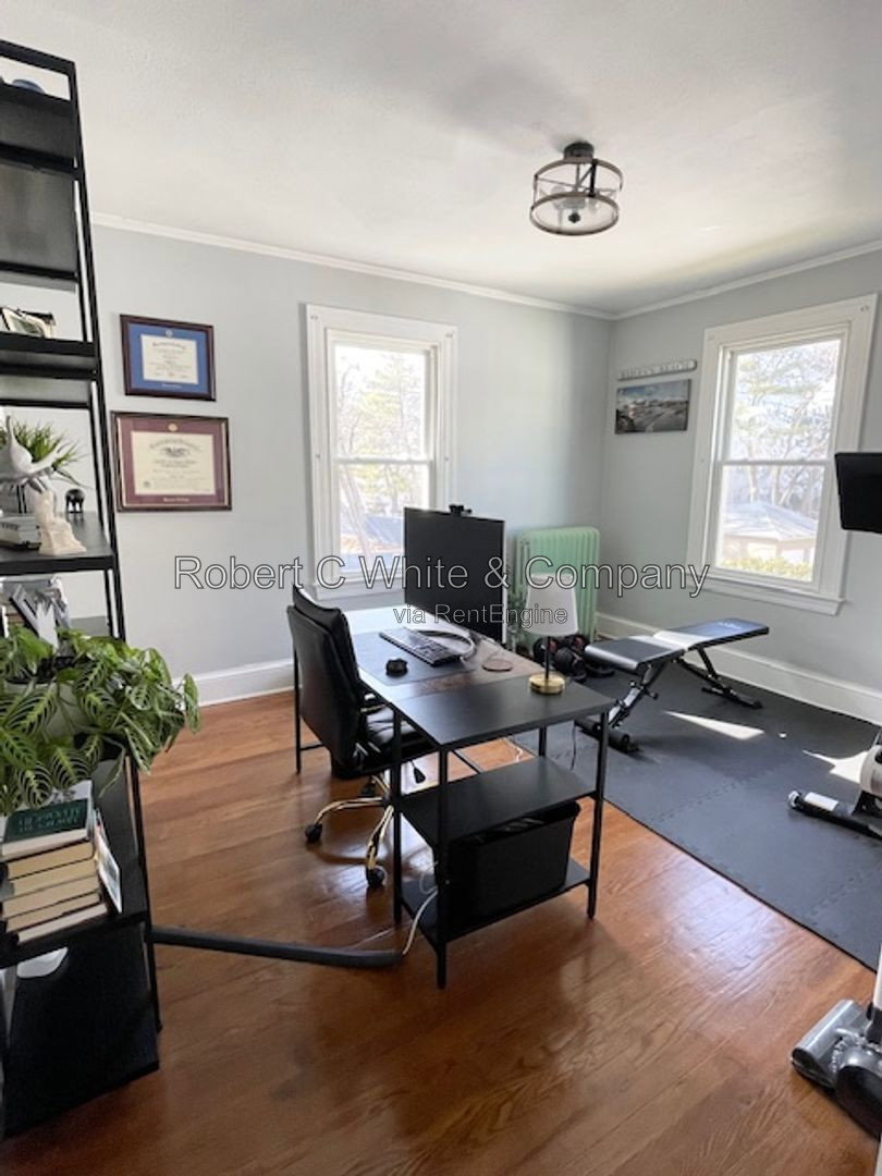 Gallery Image 11