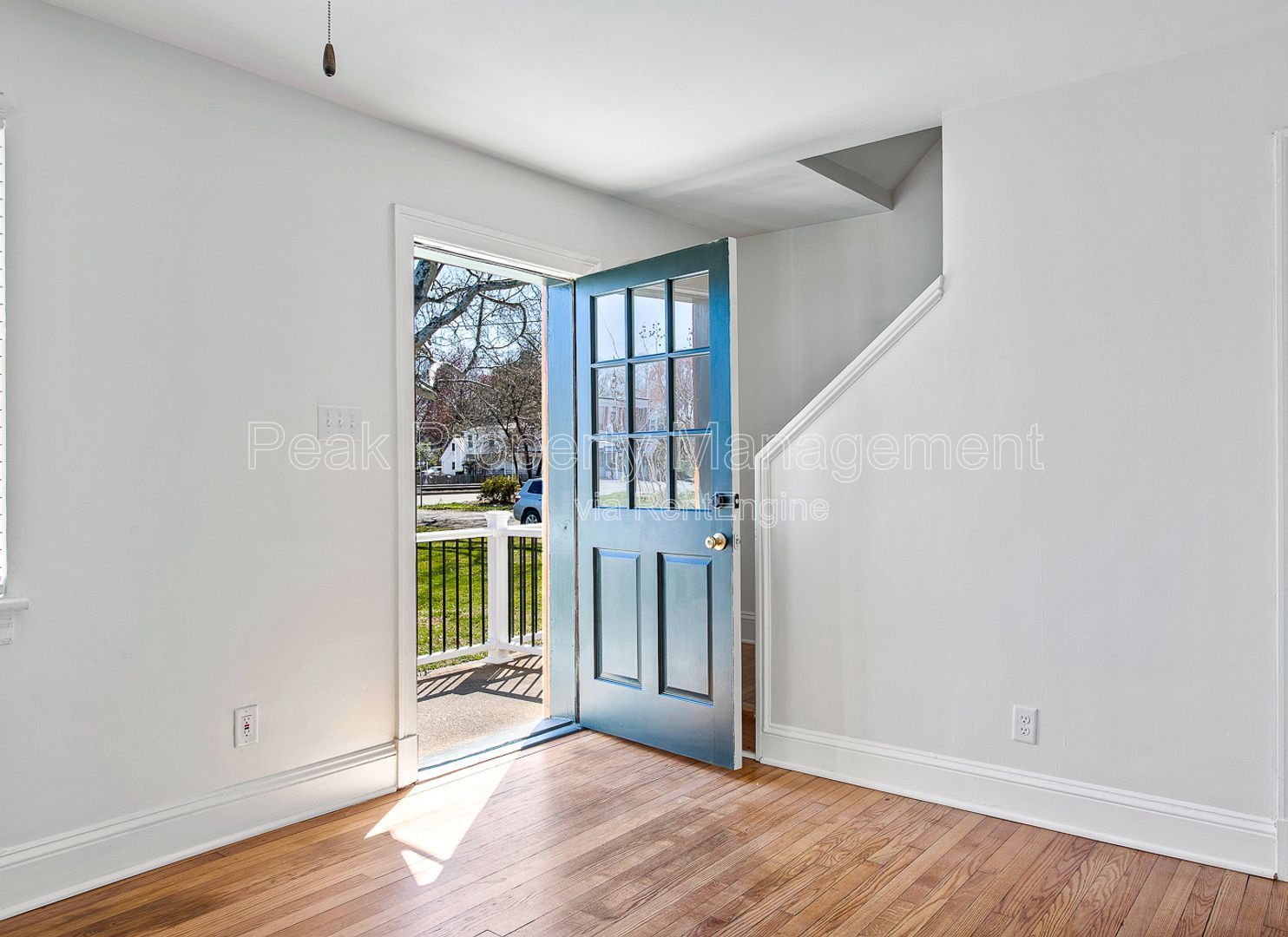 Gallery Image 5