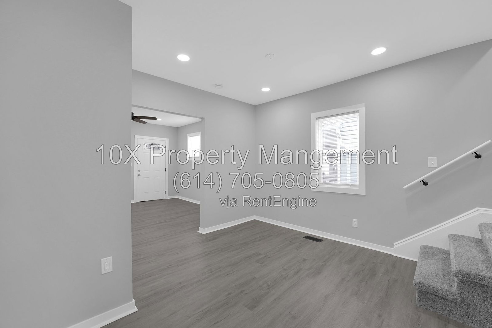 Gallery Image 7