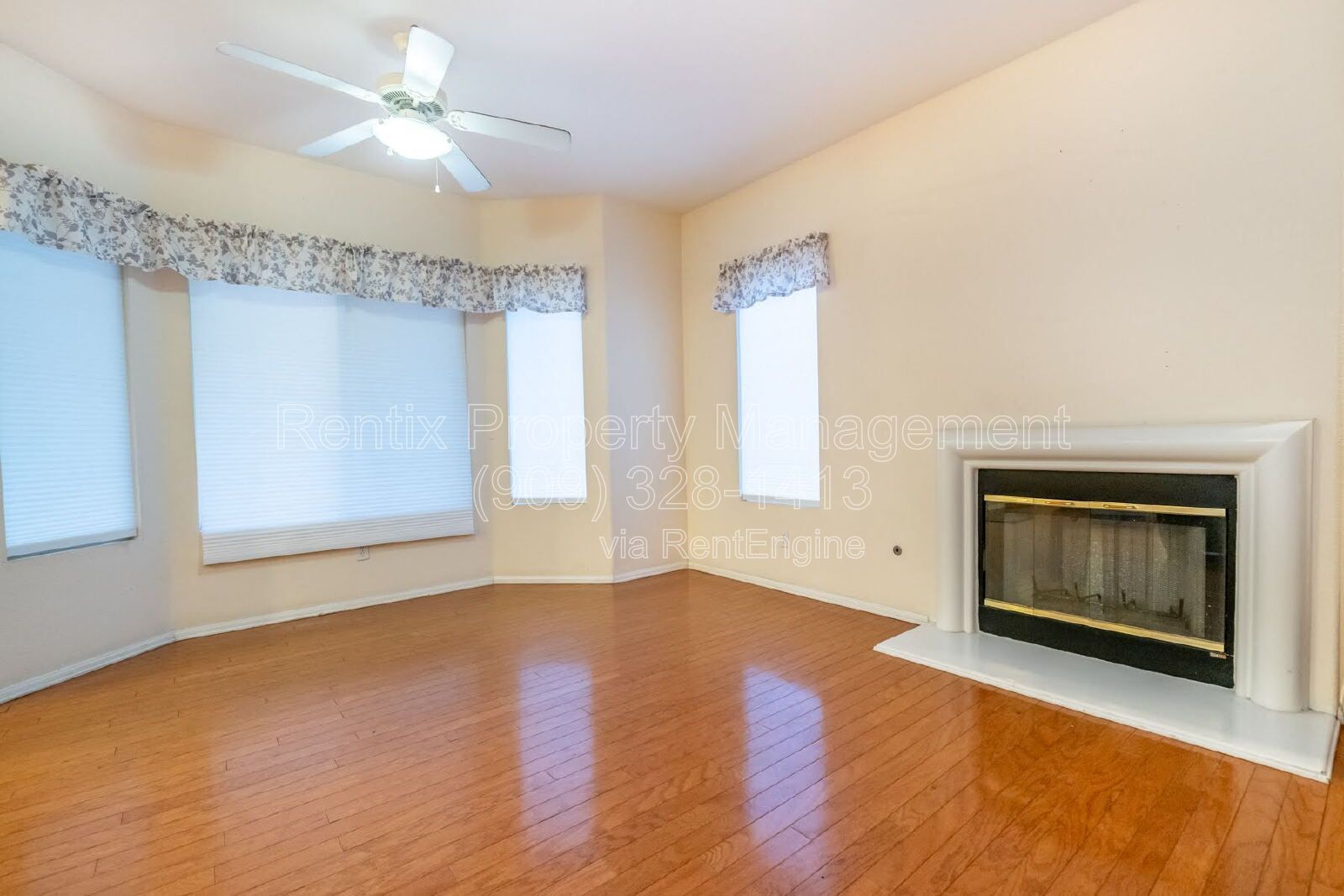 Gallery Image 15