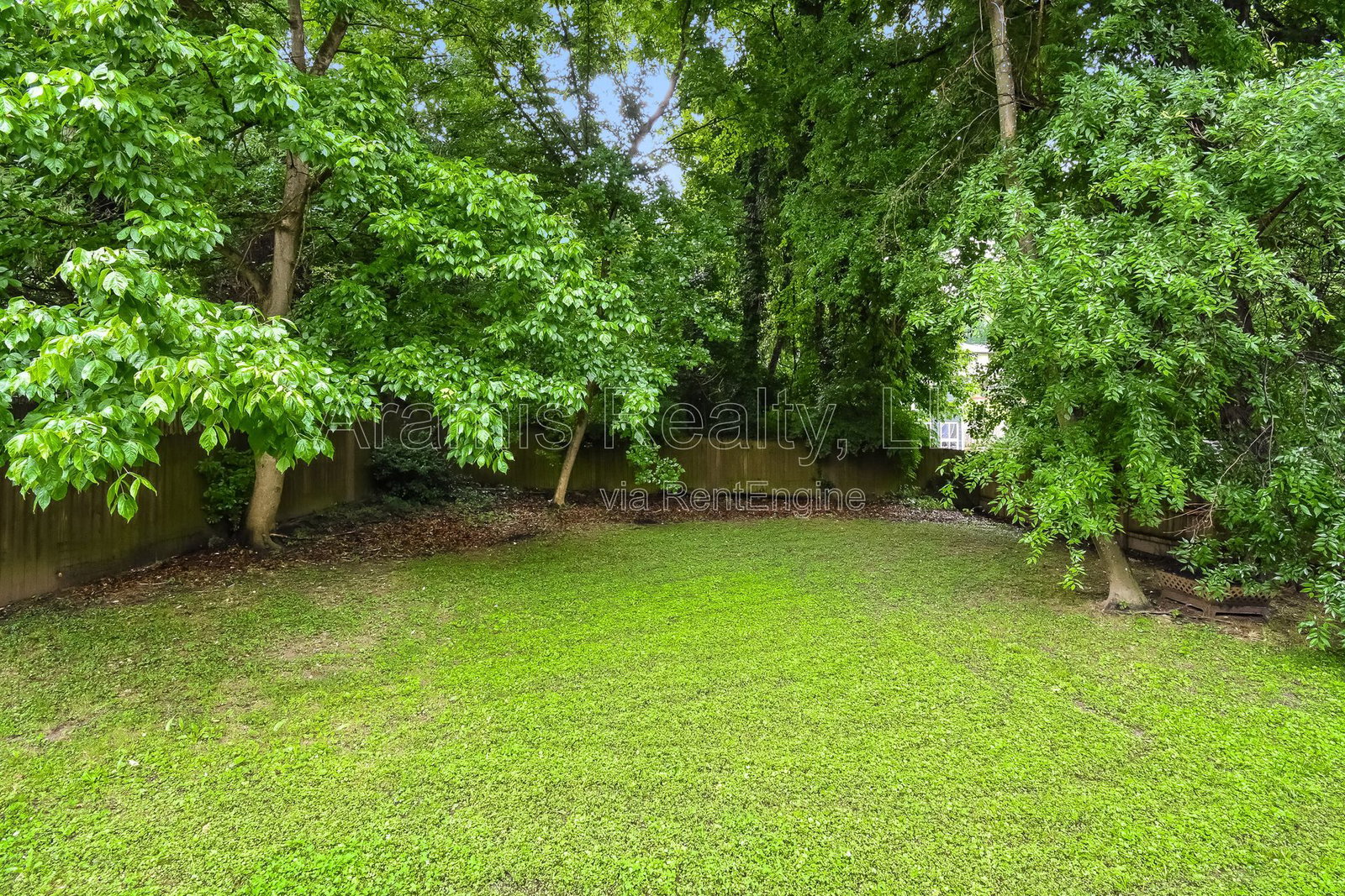 Gallery Image 19