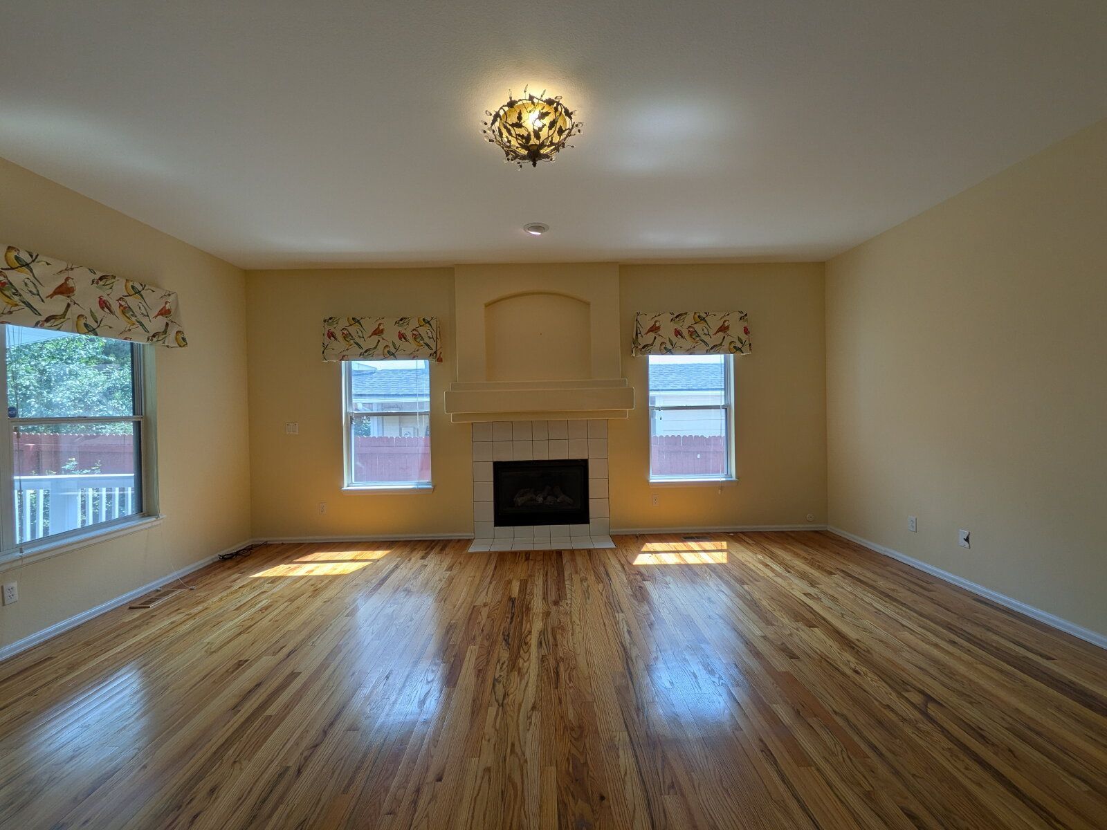 Gallery Image 10