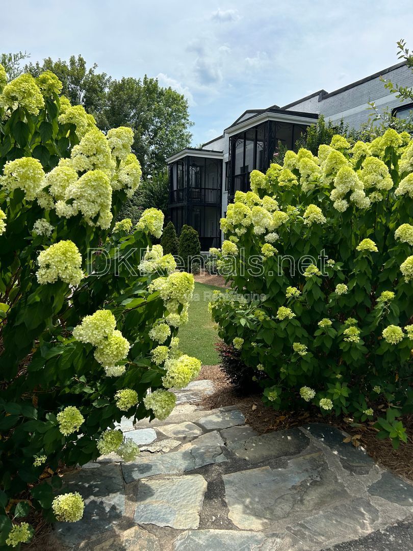 Gallery Image 27
