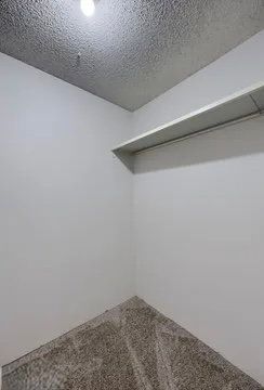 Gallery Image 20