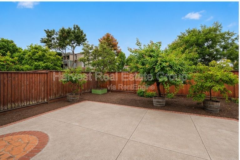 Gallery Image 16