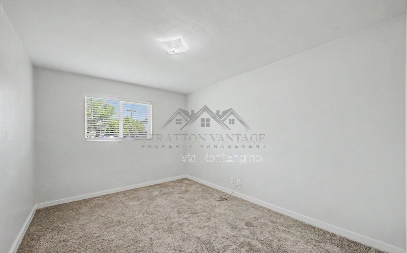 Gallery Image 19