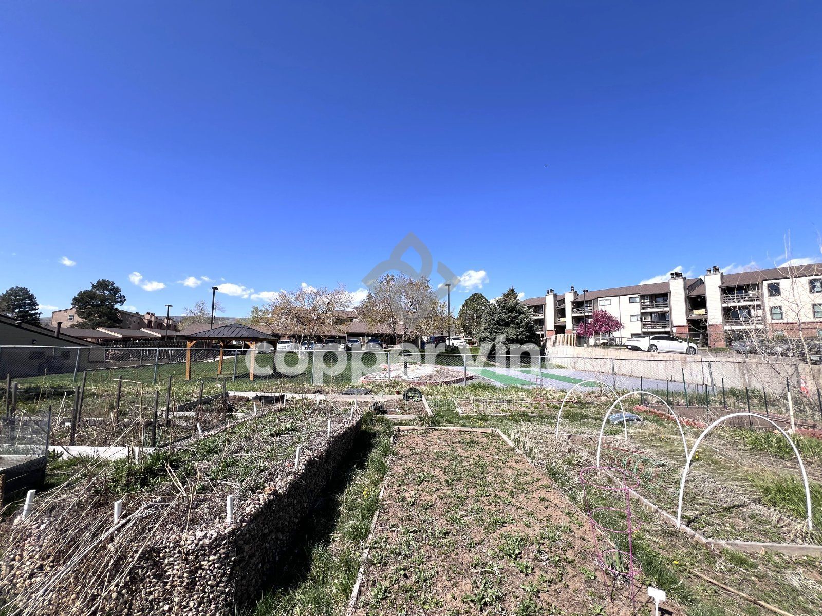 Gallery Image 20