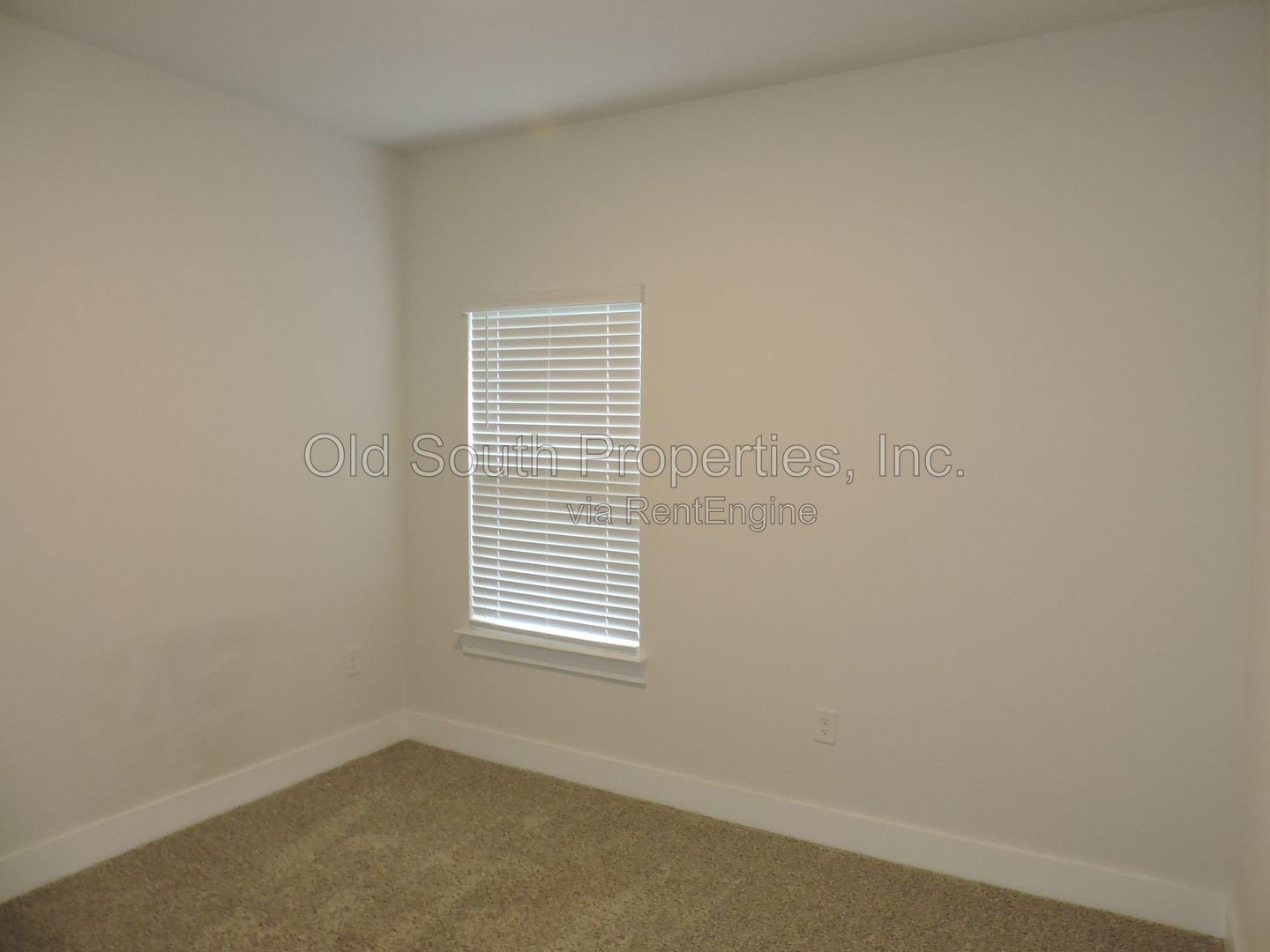 Gallery Image 23