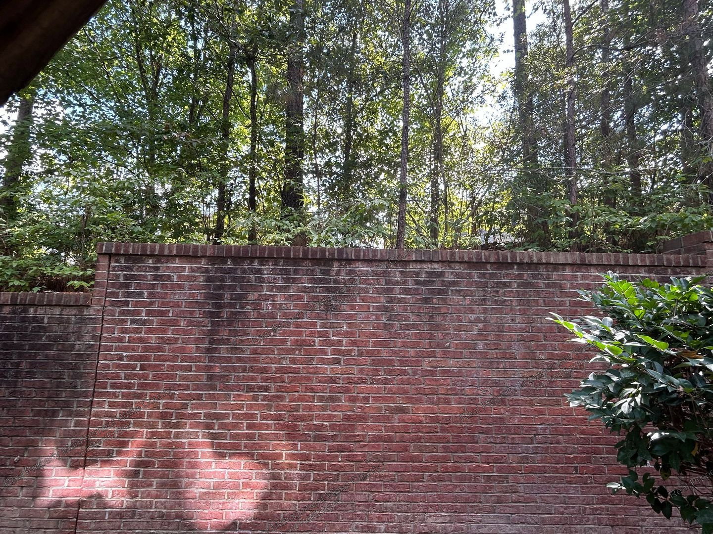 Gallery Image 16