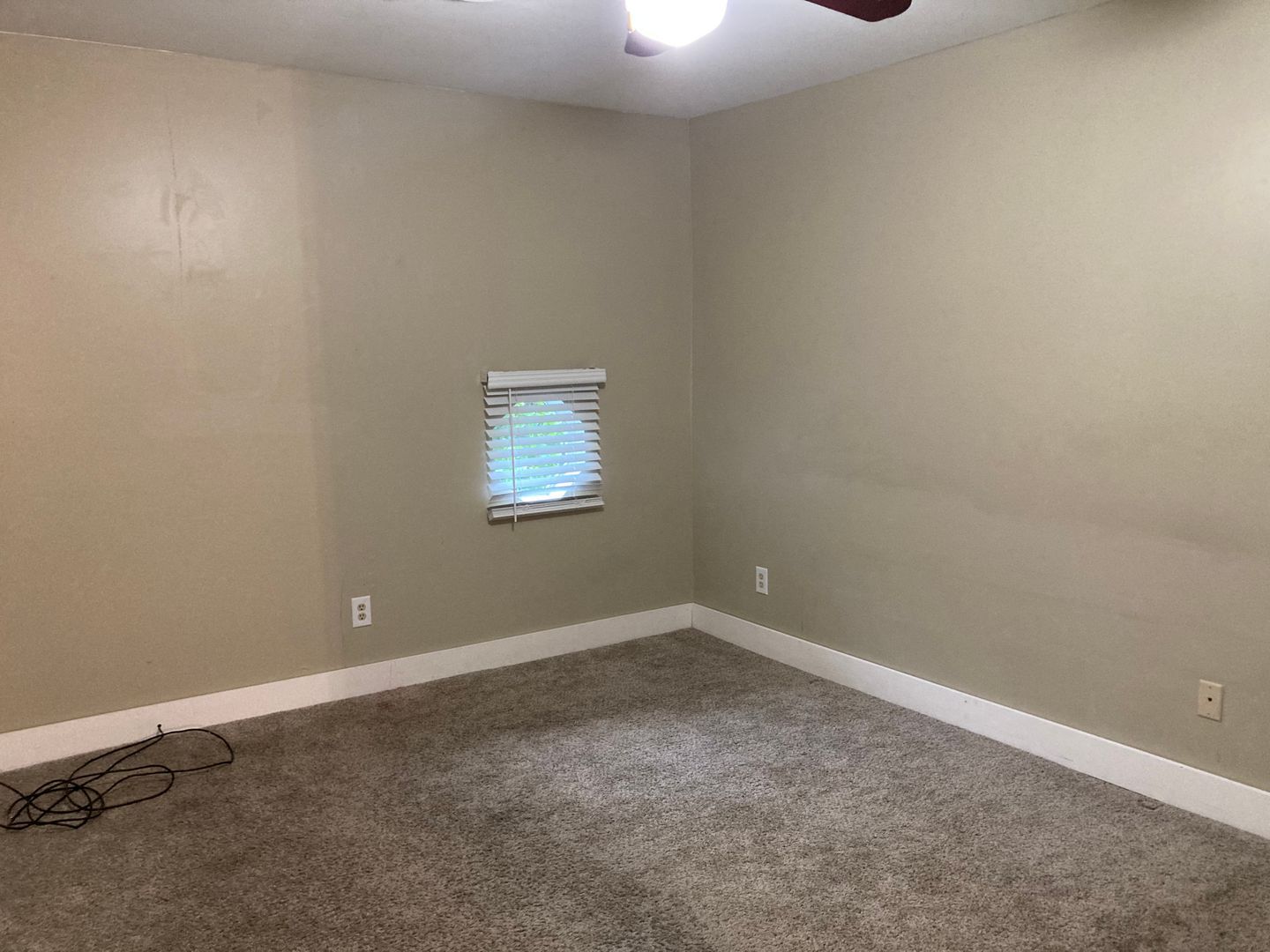 Gallery Image 25