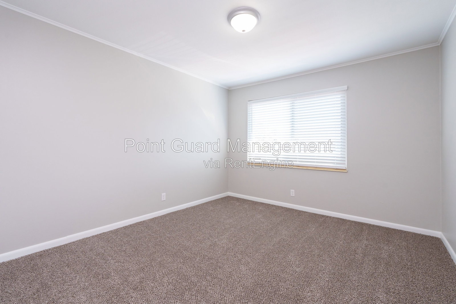 Gallery Image 19