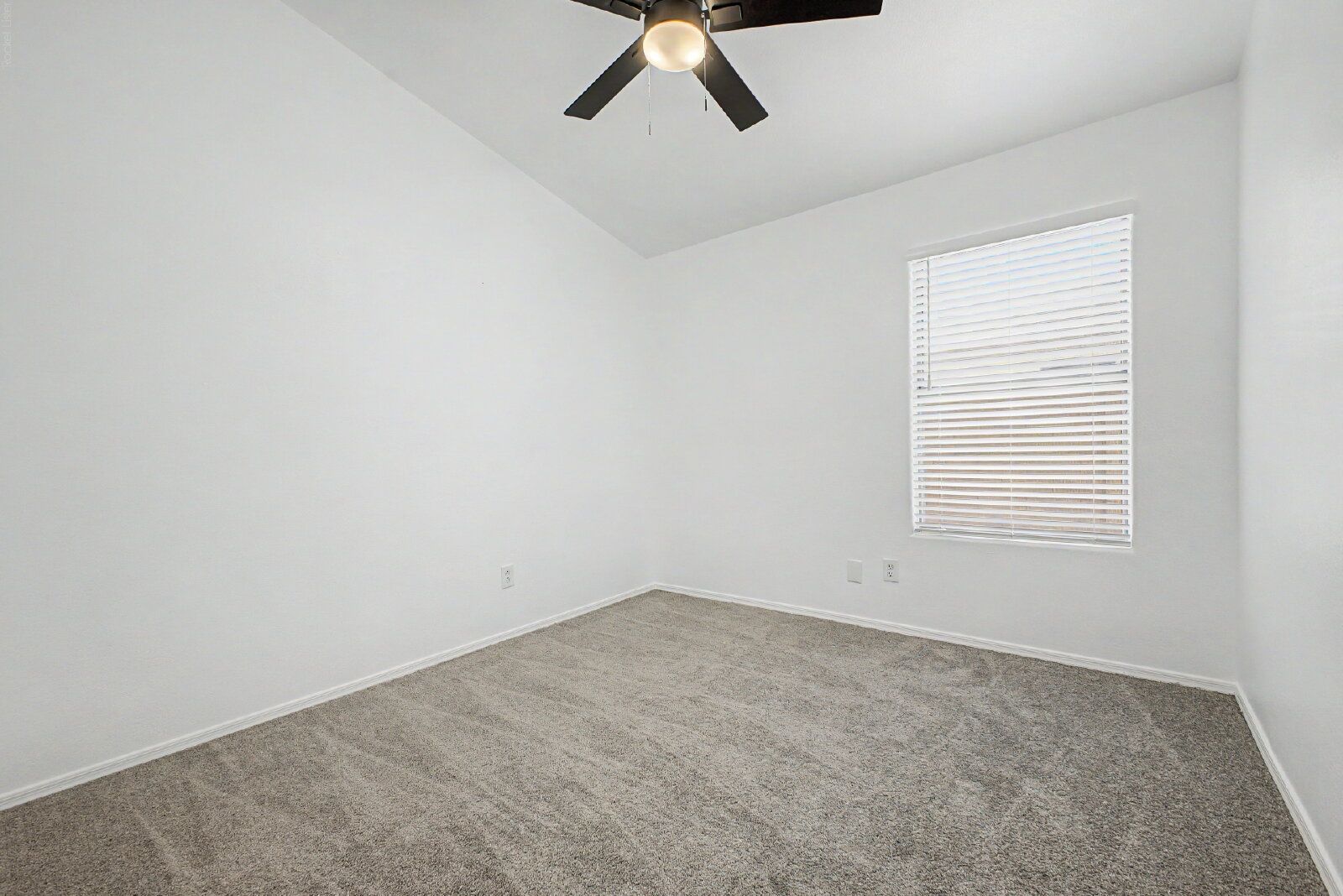 Gallery Image 20