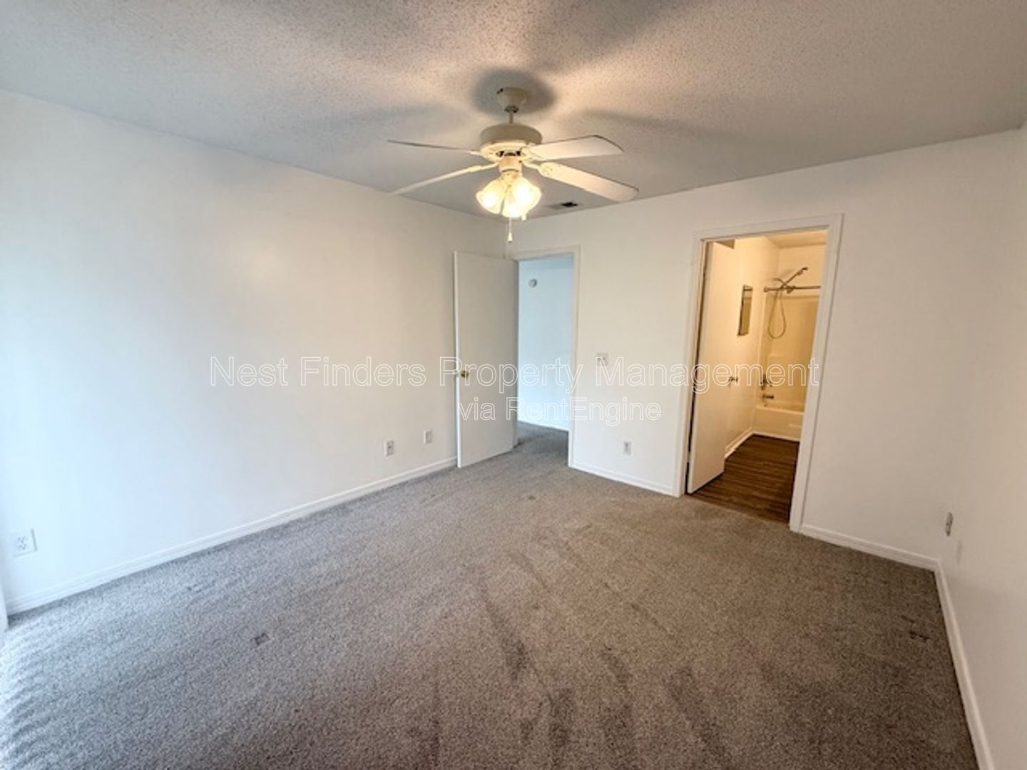 Gallery Image 19