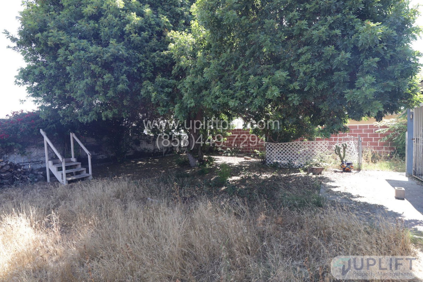 Gallery Image 14