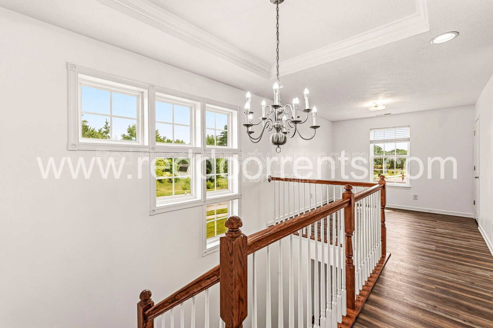 Gallery Image 17