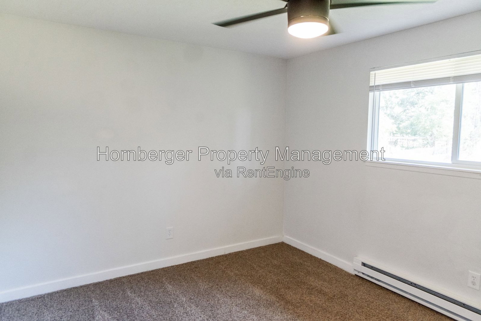 Gallery Image 21