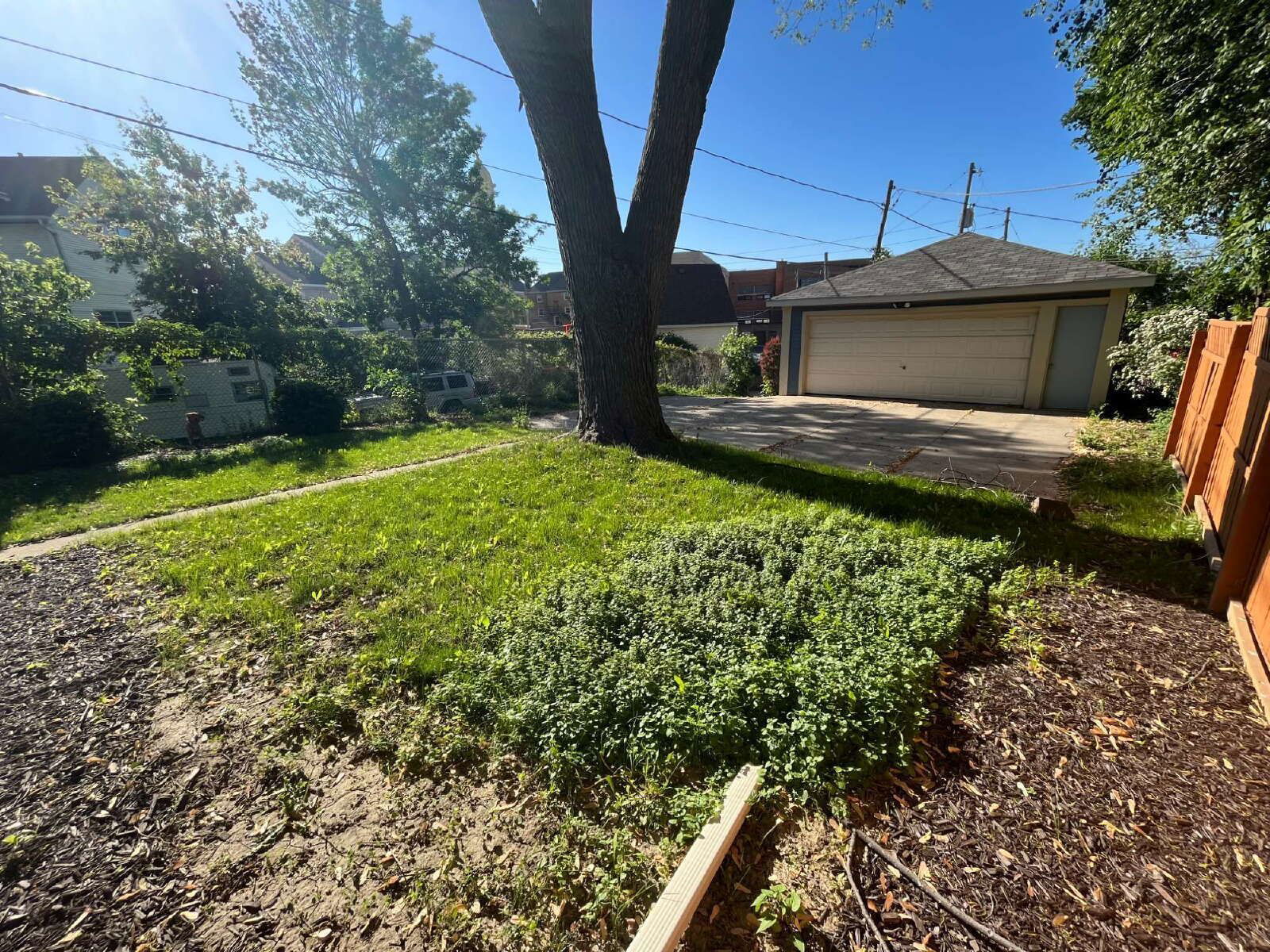 Gallery Image 14