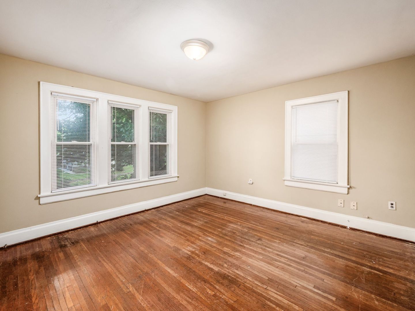 Gallery Image 15
