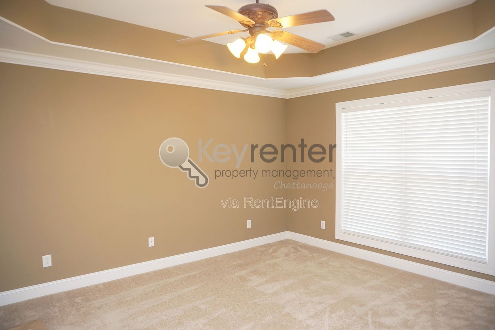 Gallery Image 16