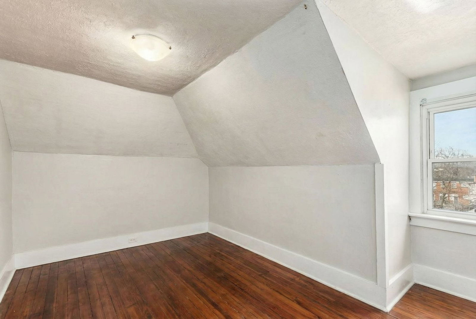 Gallery Image 19
