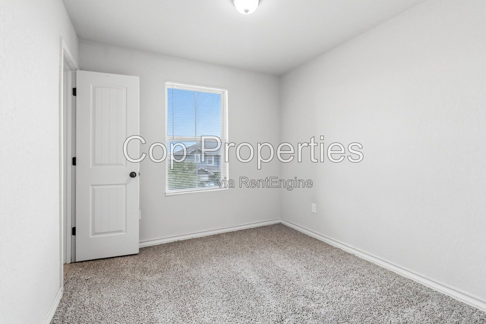 Gallery Image 20