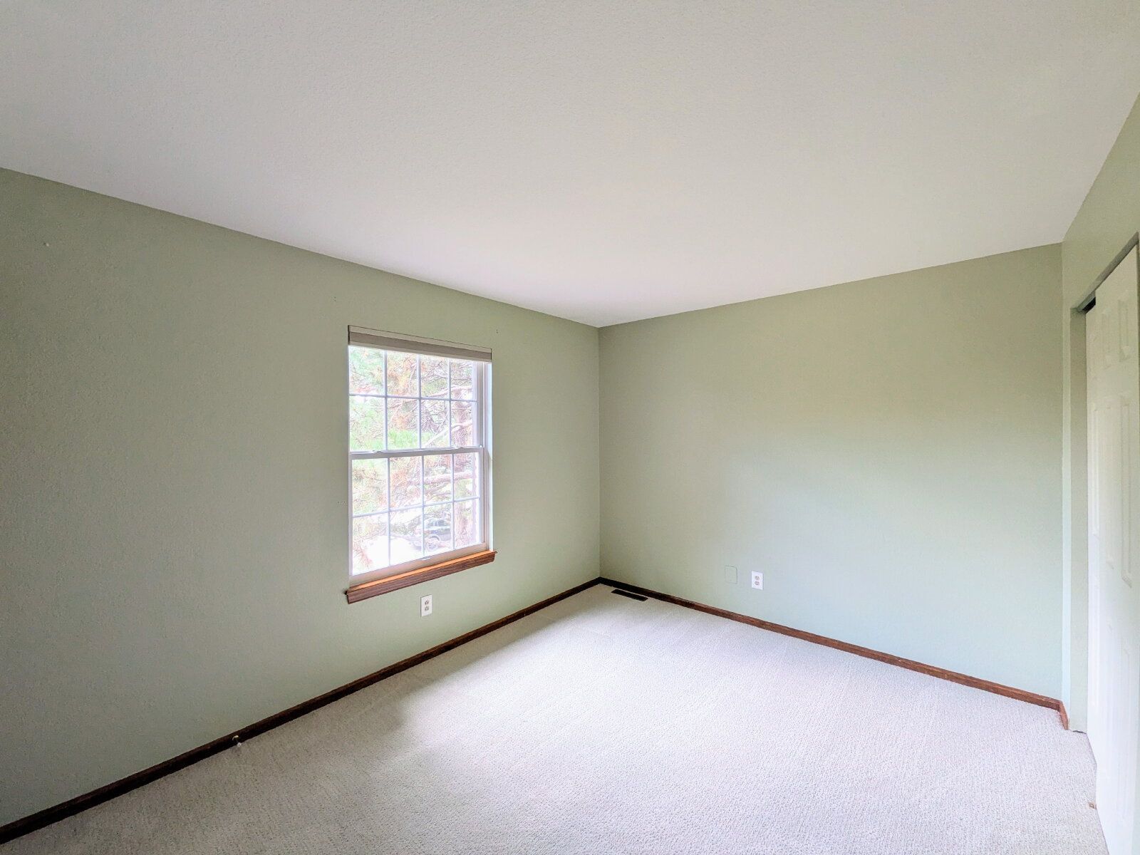 Gallery Image 16