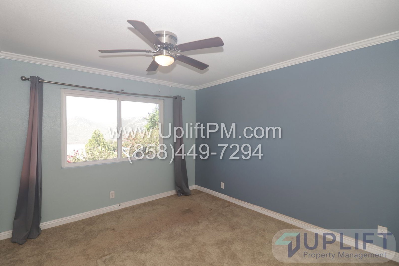Gallery Image 14