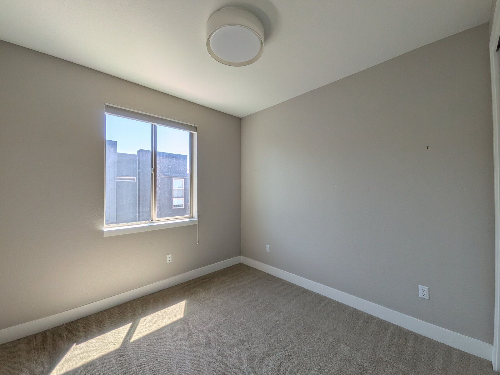 Gallery Image 19