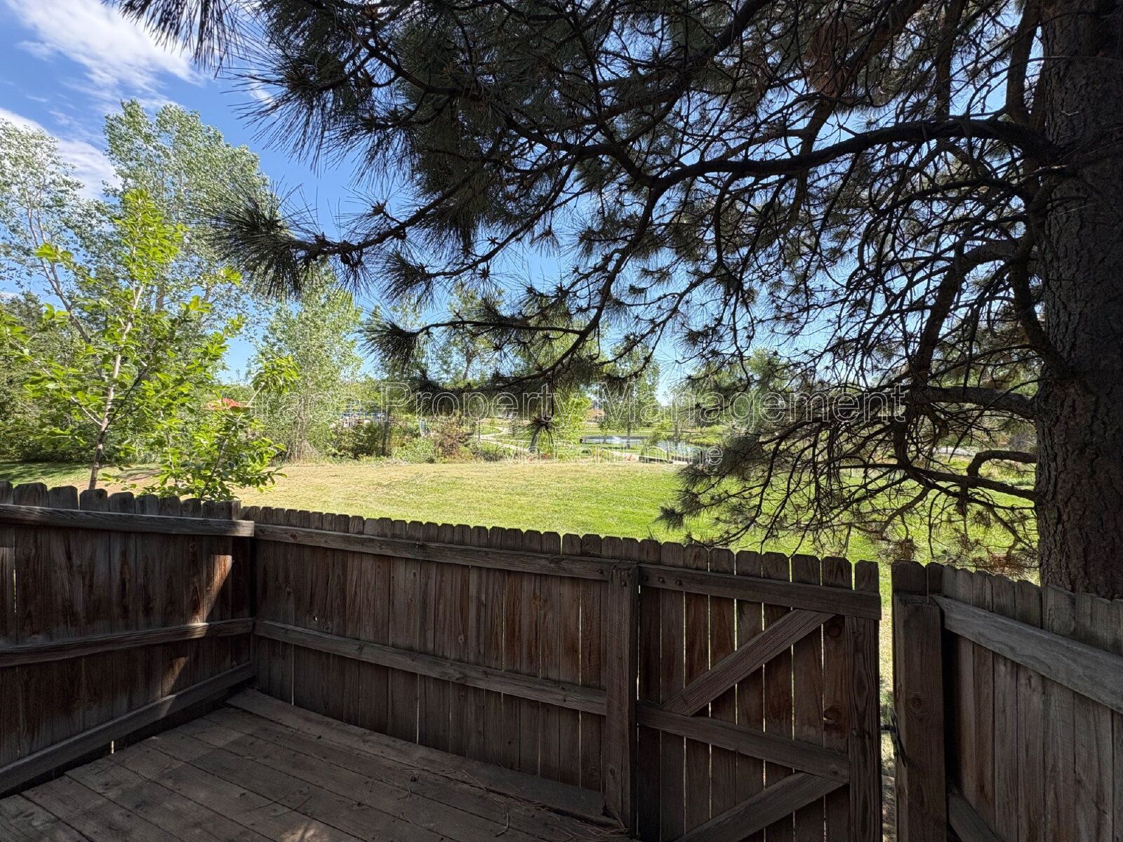 Gallery Image 17