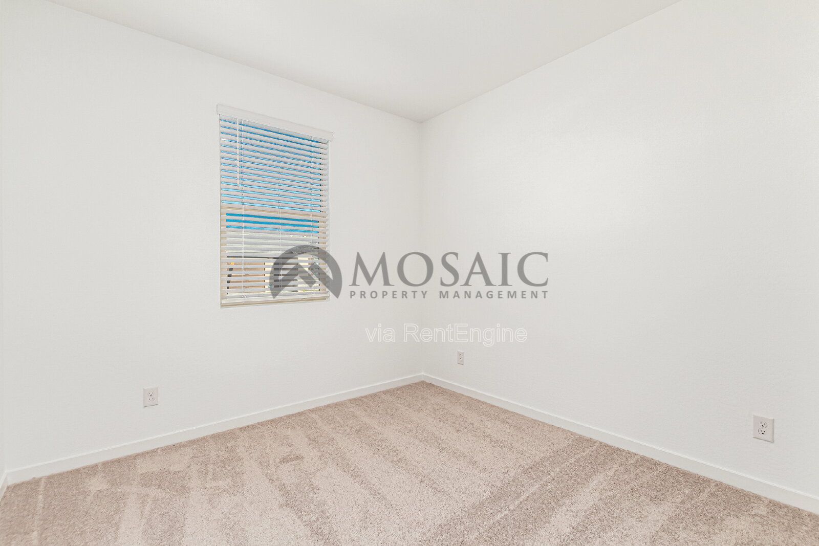 Gallery Image 25