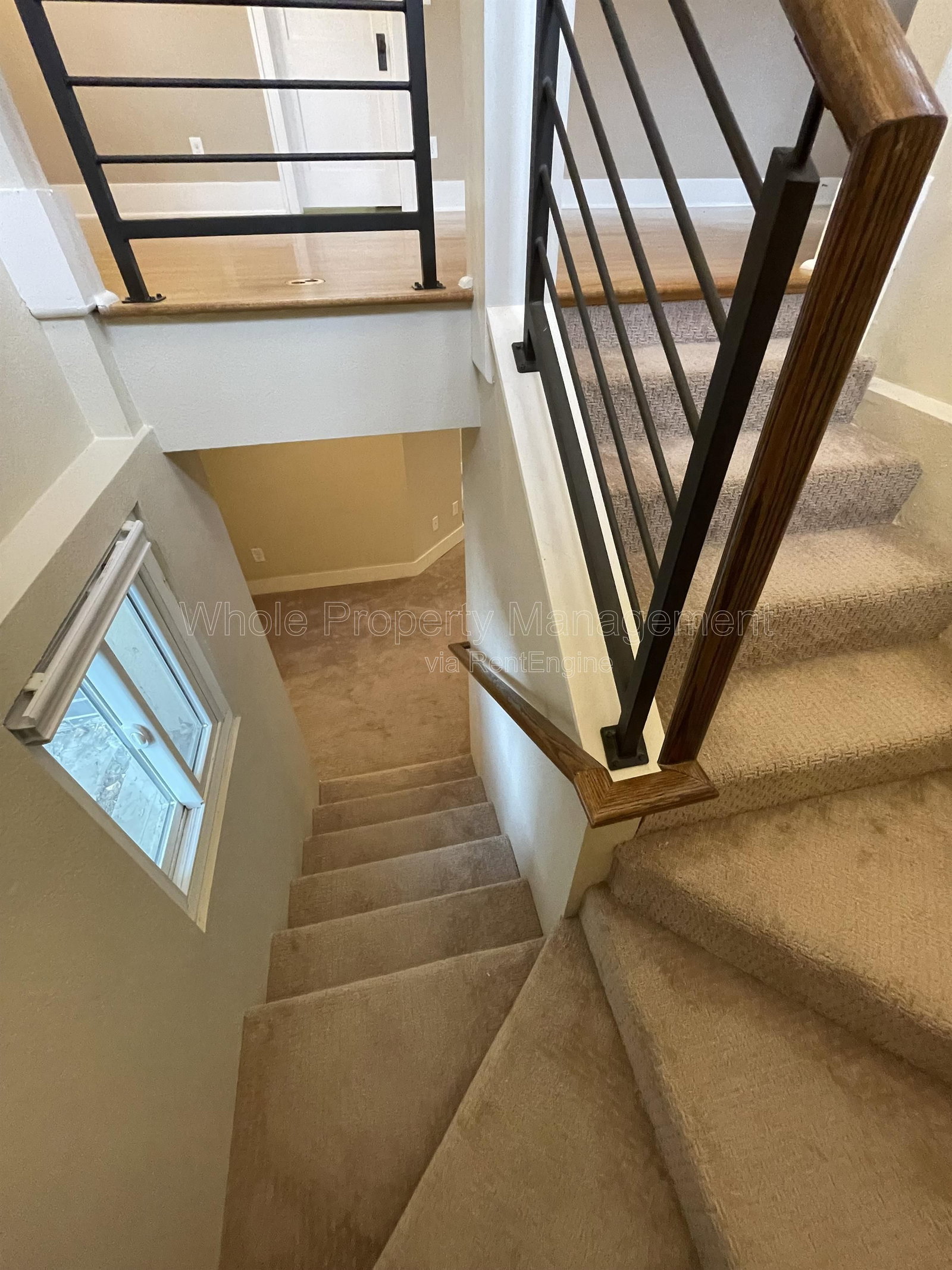 Gallery Image 19