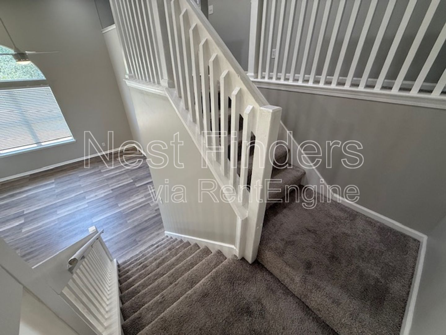 Gallery Image 16