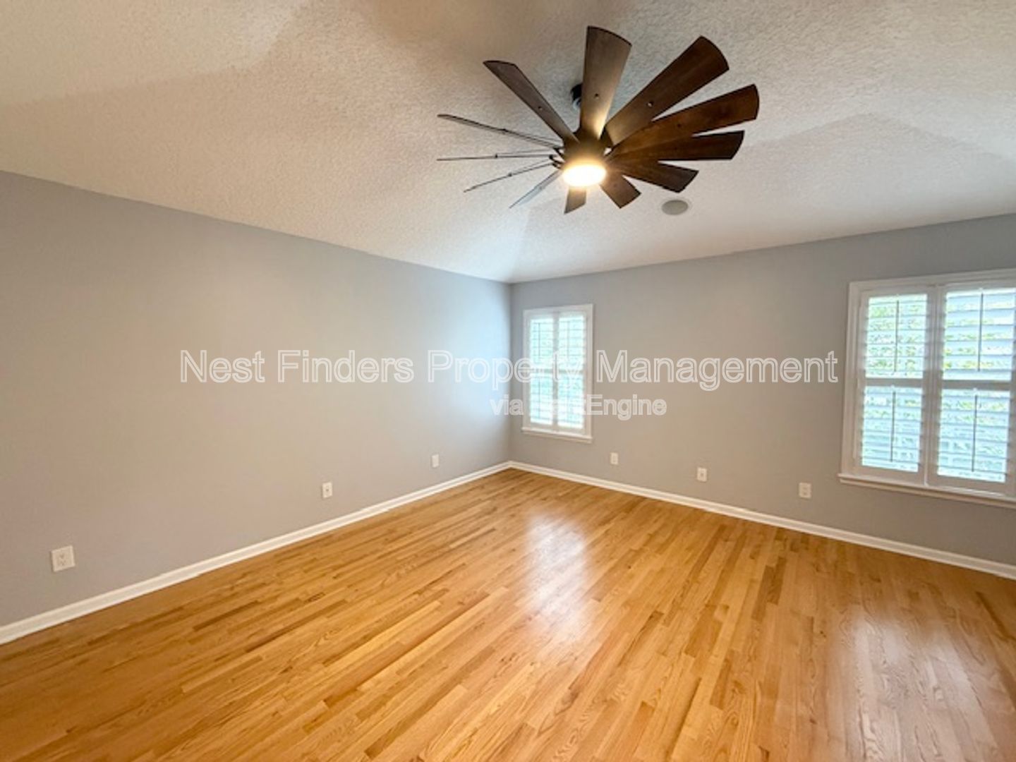 Gallery Image 19