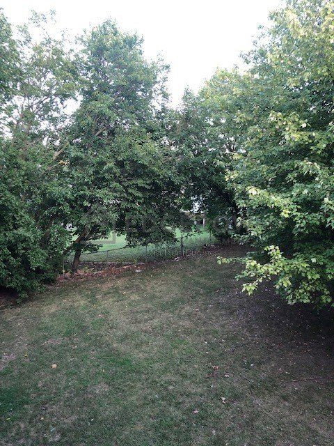 Gallery Image 48