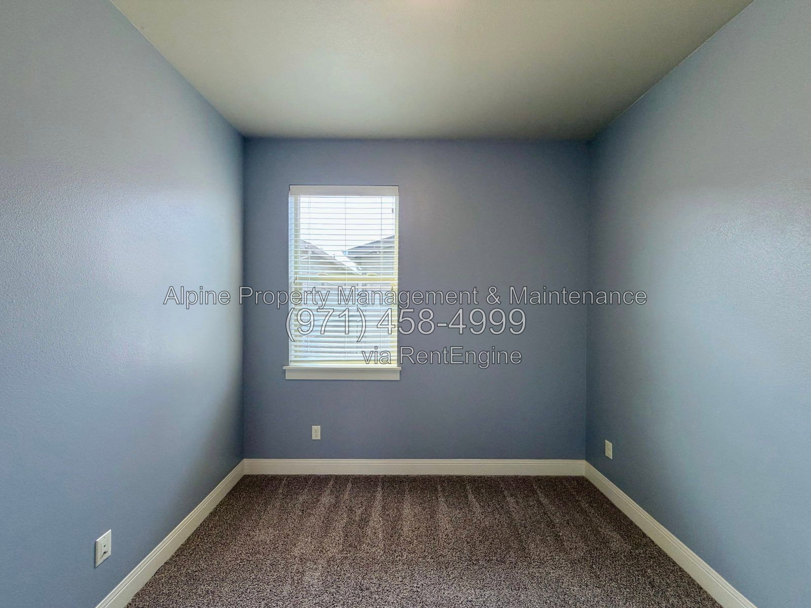 Gallery Image 34