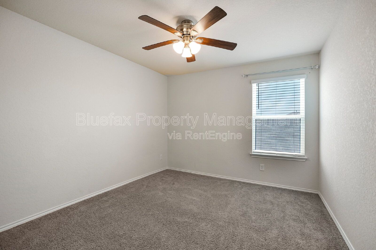 Gallery Image 25