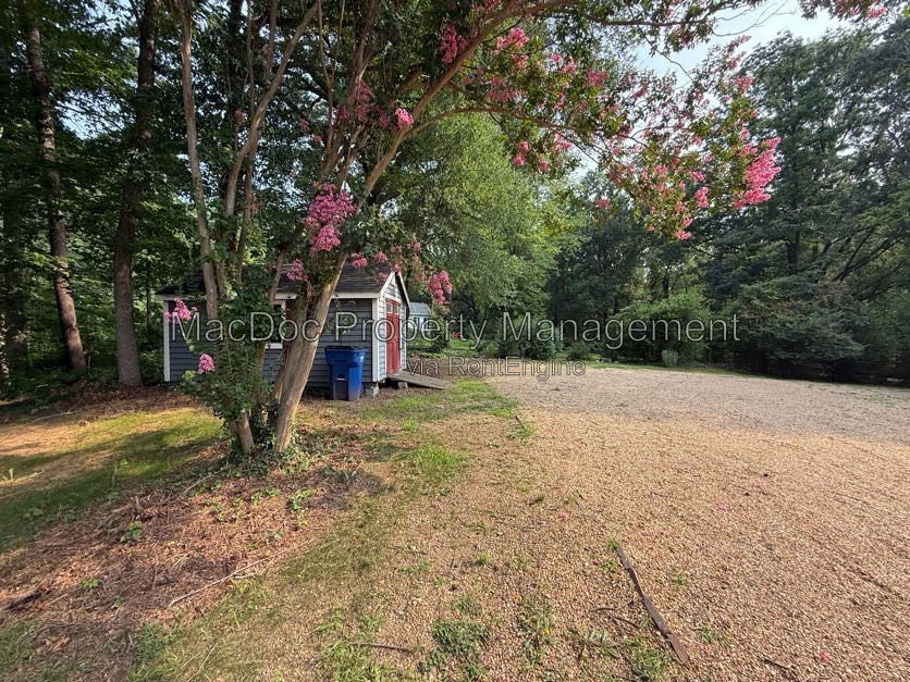 Gallery Image 48