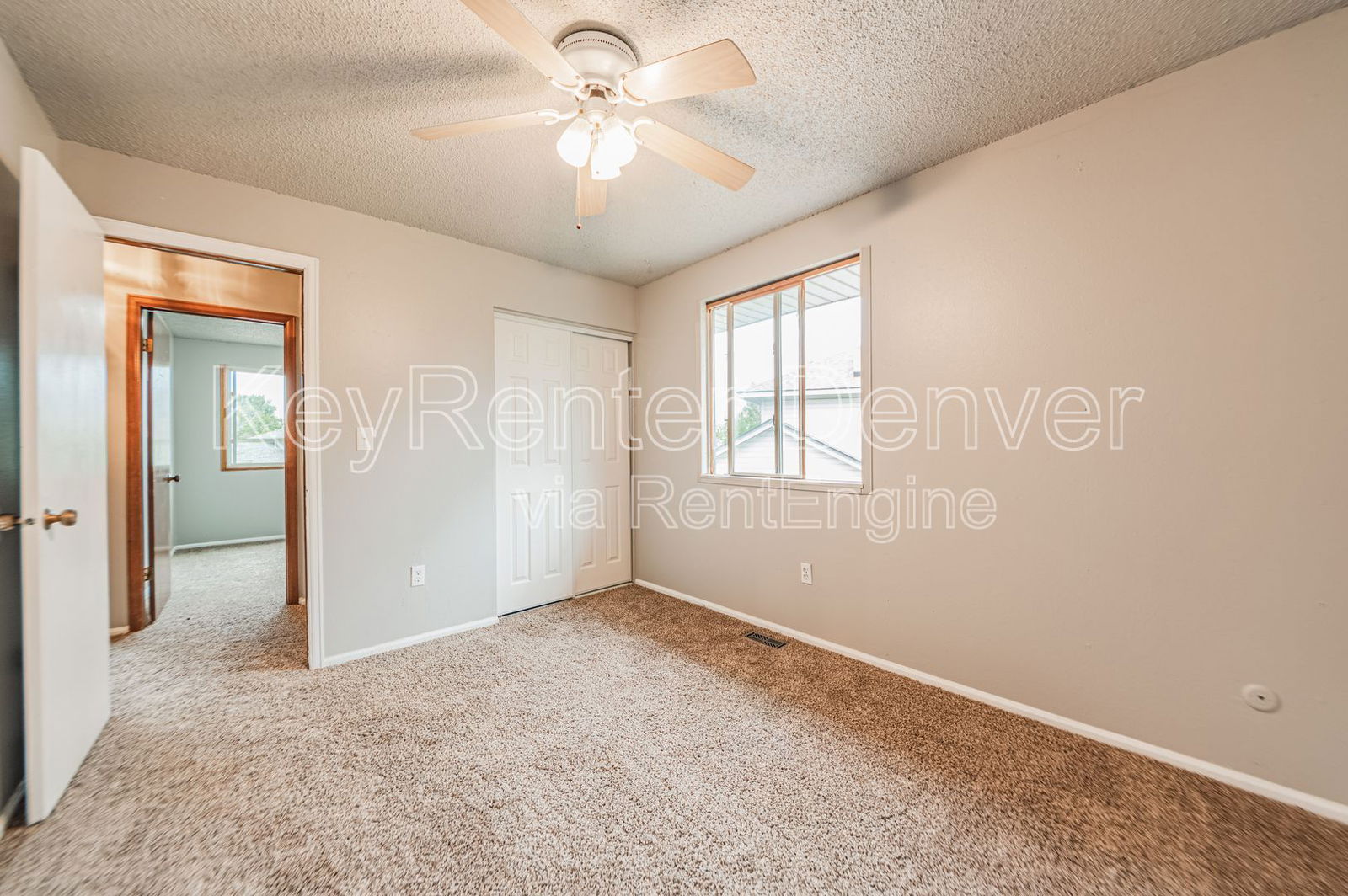 Gallery Image 41