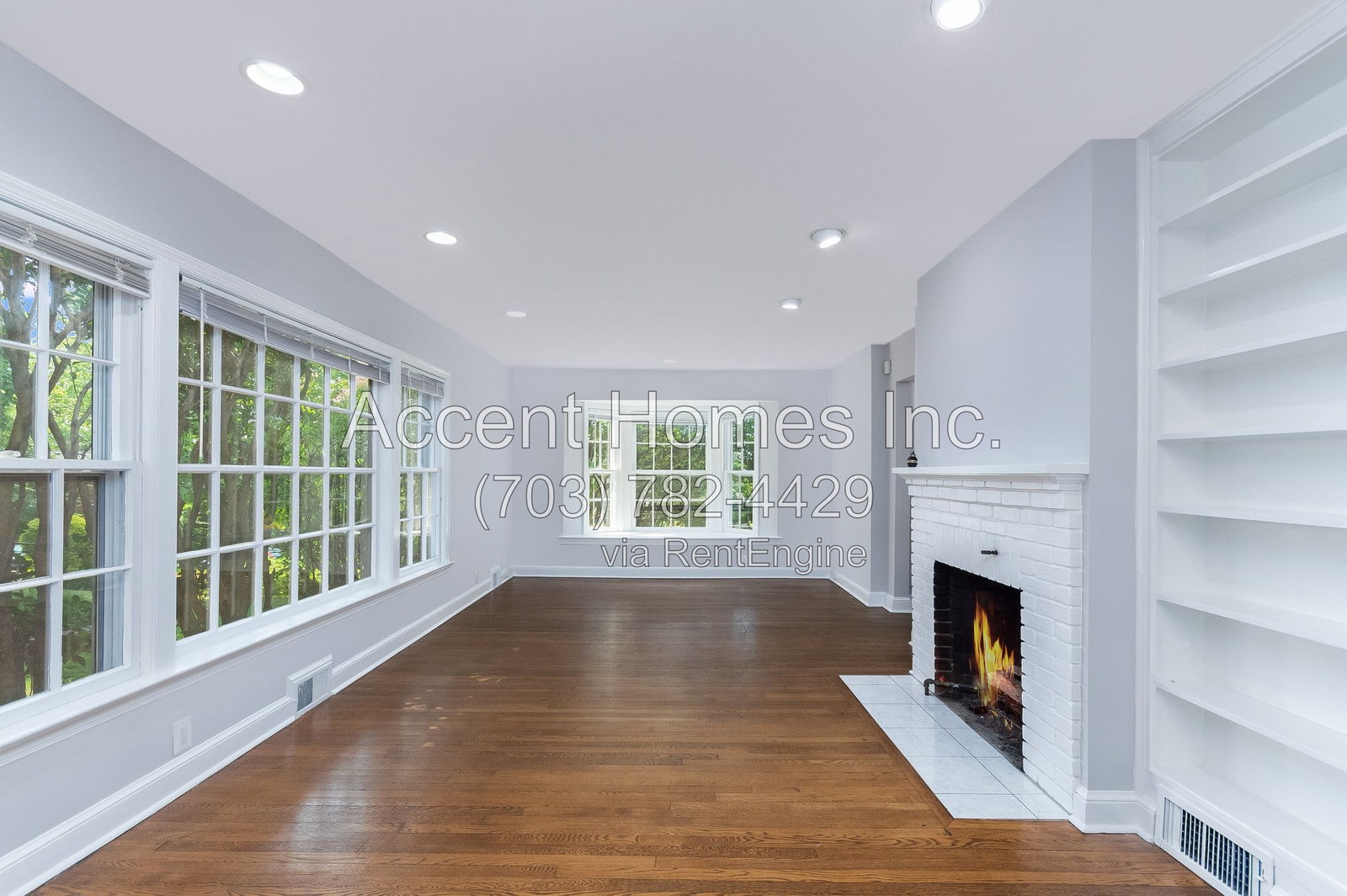Gallery Image 7