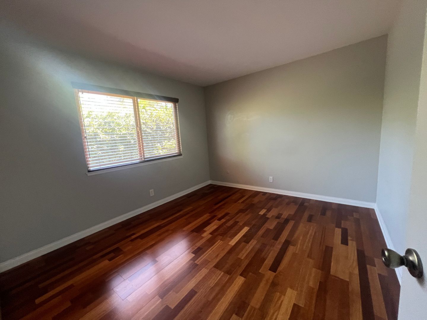 Gallery Image 19