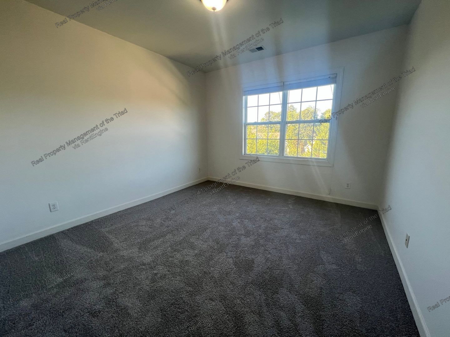 Gallery Image 21