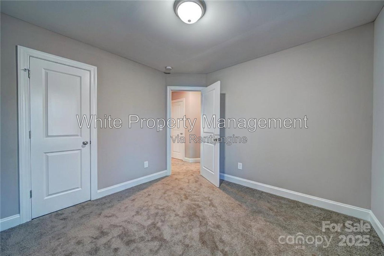Gallery Image 19