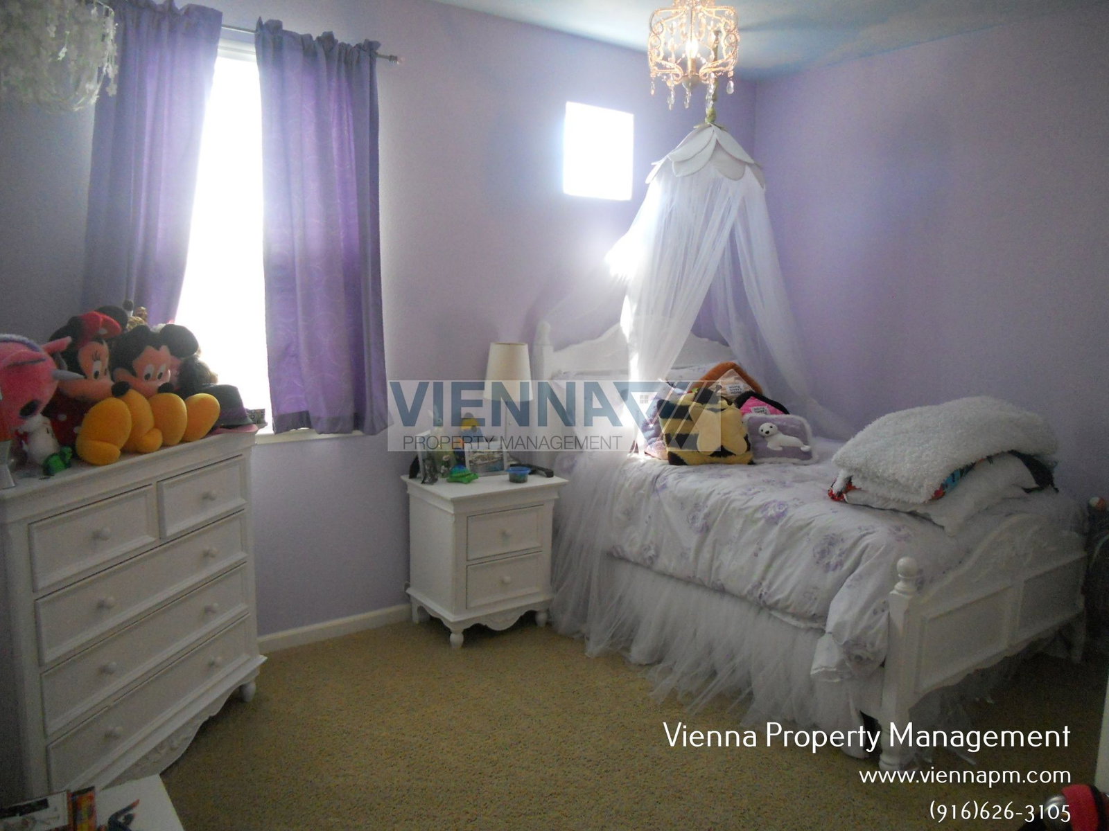 Gallery Image 21