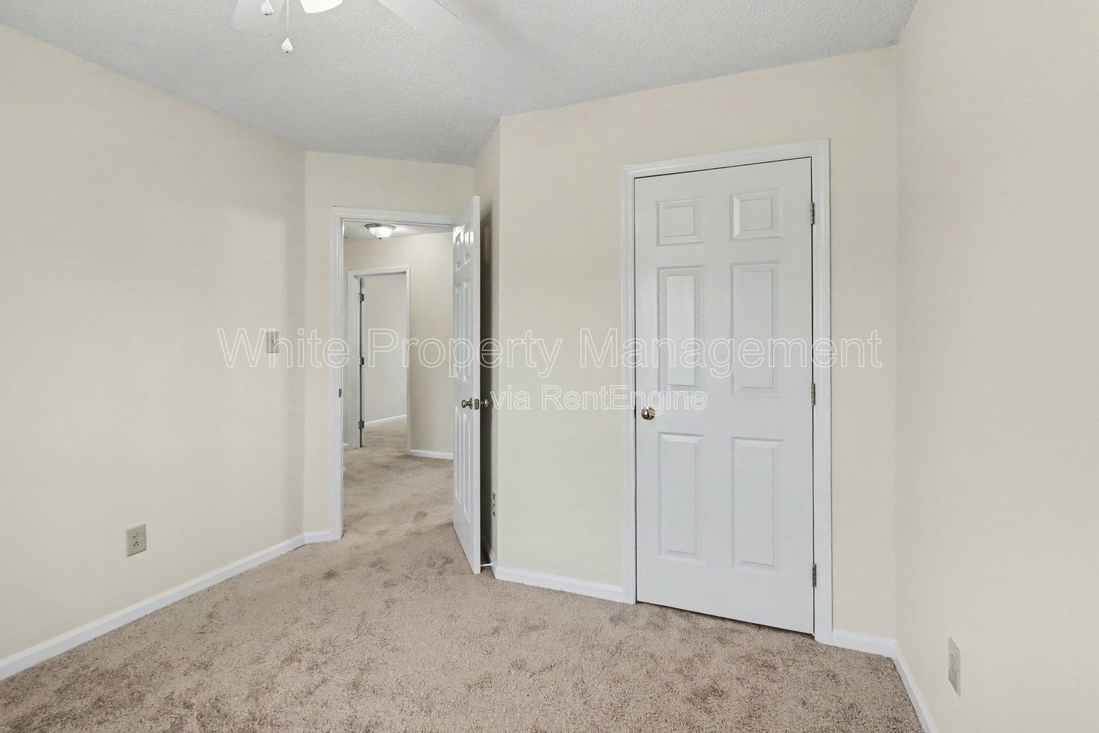 Gallery Image 19